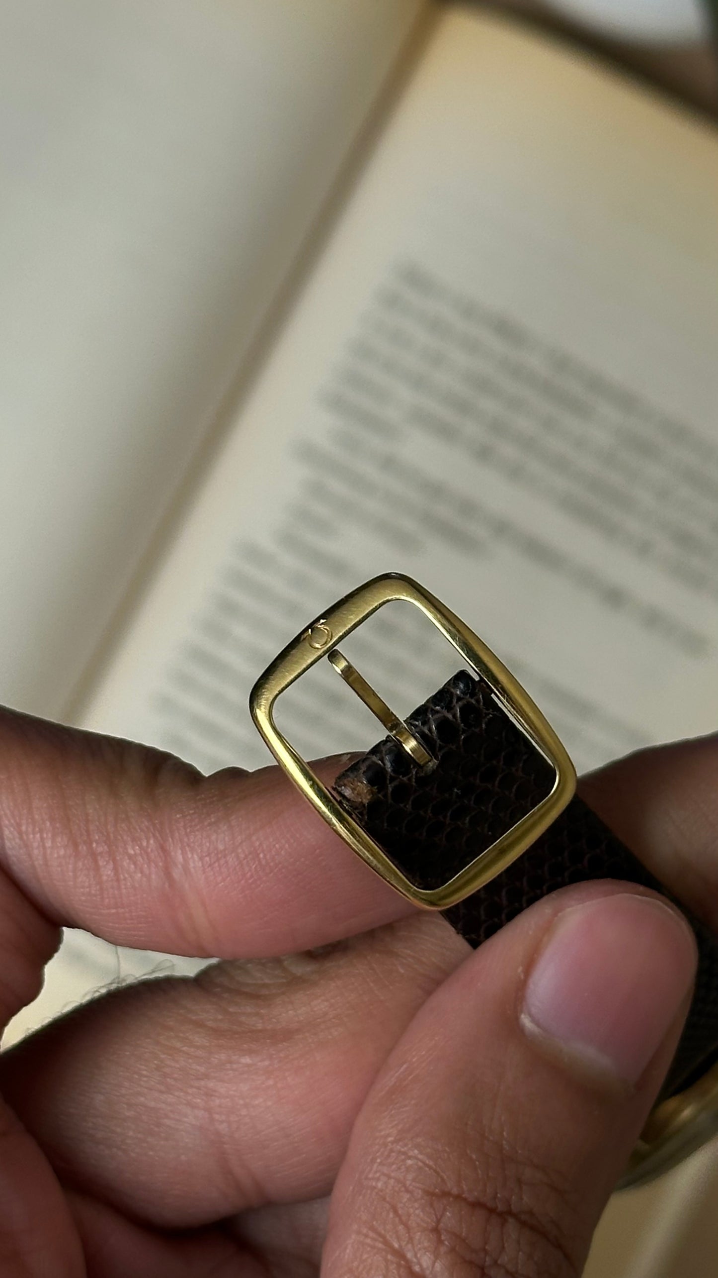 Omega Seamaster Cosmic