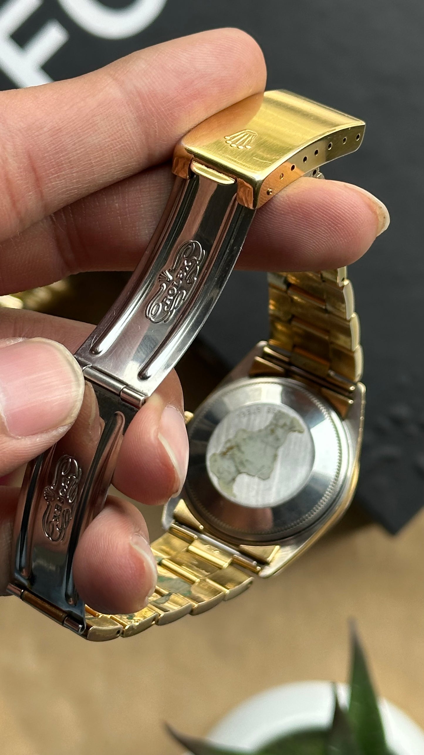 Rolex Oyster Perpetual