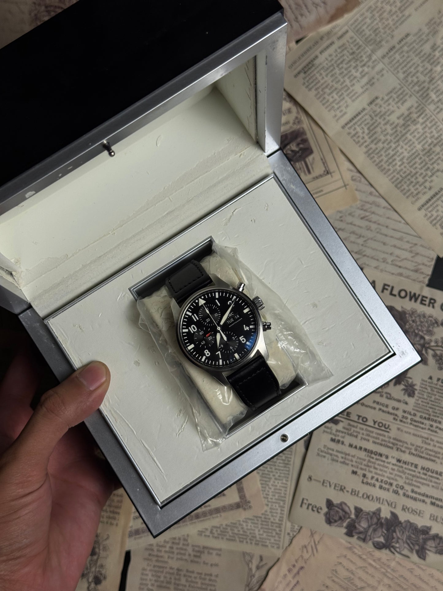 IWC Pilot Chronograph