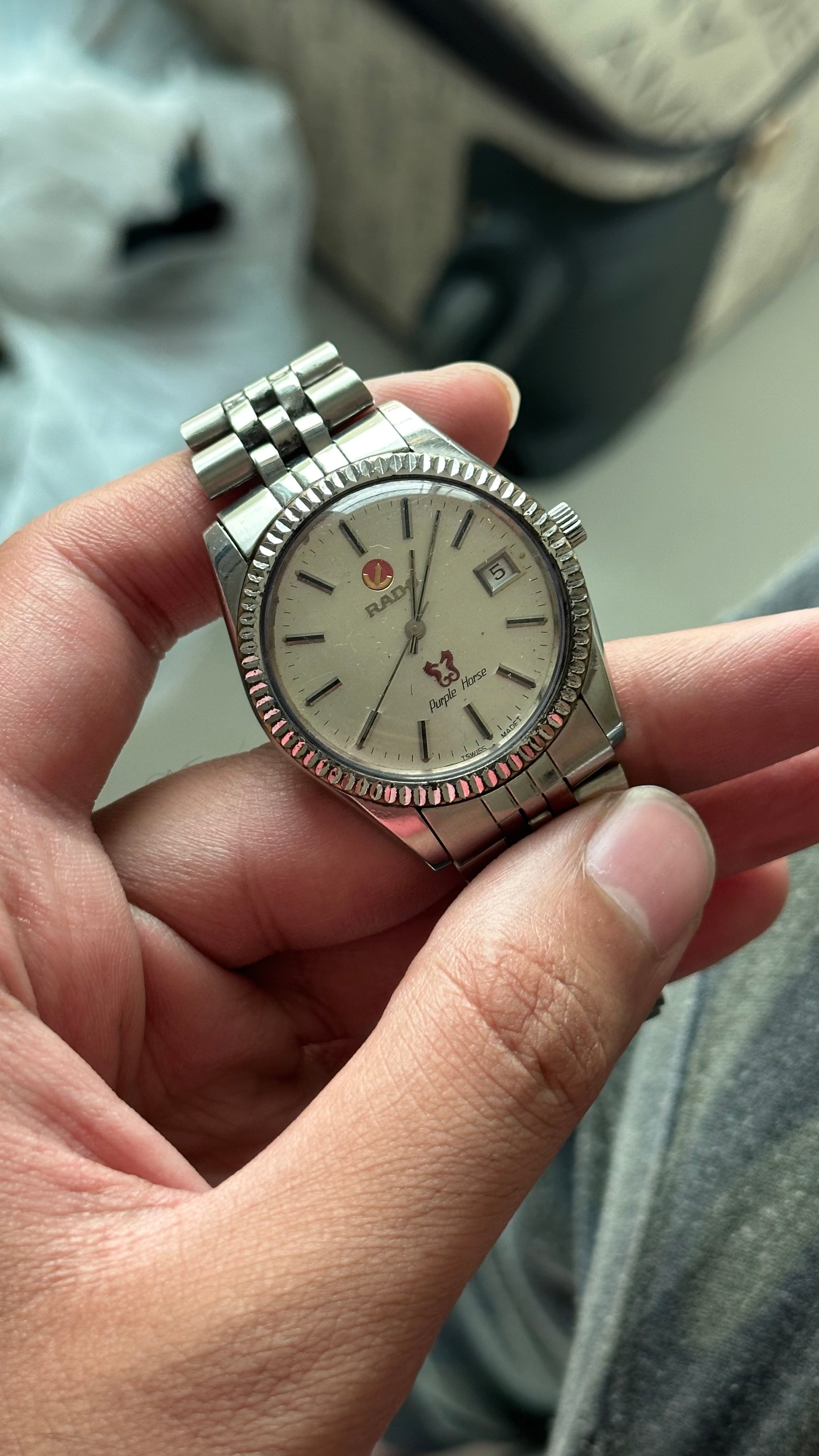 RADO PURPLE HORSE - Main Image